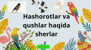 hashorotlar va qushlar haqida sherlar to'plami