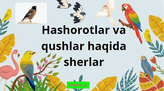 hashorotlar va qushlar haqida sherlar to'plami